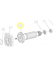 Якорь ротор для AG1210-1 WORTEX AG1210-1-28